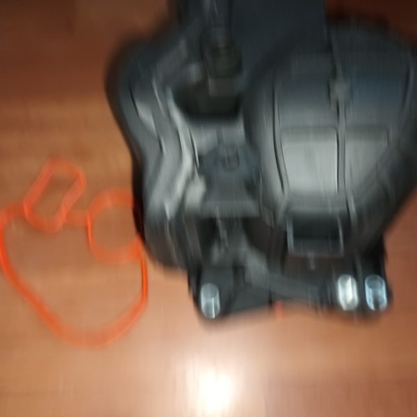 EGR1 EGR1